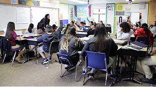 Provincial curricula preparation