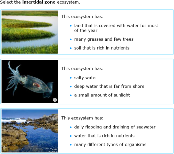 IXL | Identify ecosystems | Grade 10 science