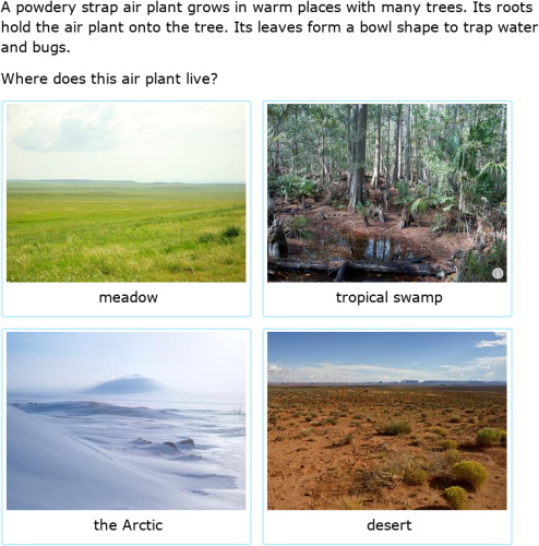 IXL | Where do bearberries and powdery strap air plants live