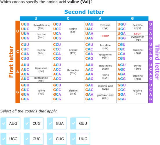 IXL | Read a codon table | Grade 10 science